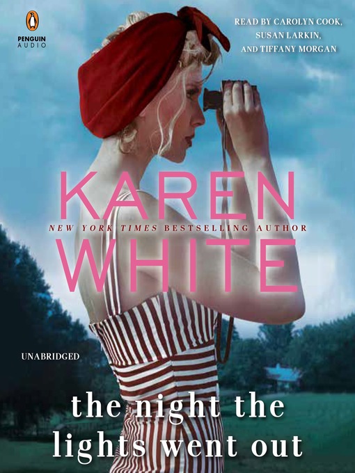 Détails du titre pour The Night the Lights Went Out par Karen White - Disponible